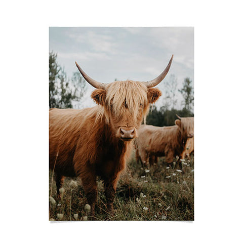 Chelsea Victoria The Furry Highland Cow Poster