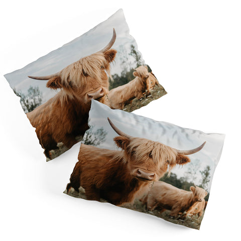 Chelsea Victoria The Furry Highland Cow Pillow Shams