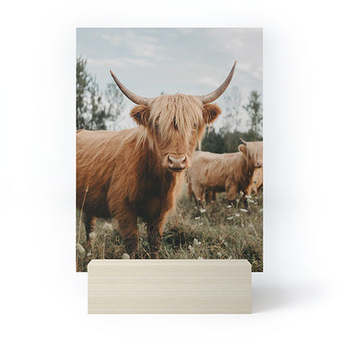 Chelsea Victoria The Furry Highland Cow Mini Art Print