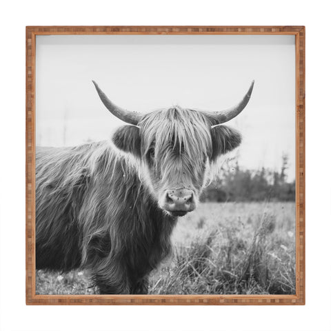 Chelsea Victoria The Highland Cow Square Tray