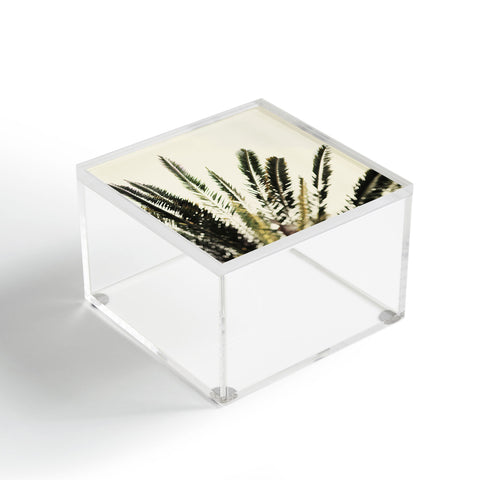 Chelsea Victoria The Palms No 2 Acrylic Box