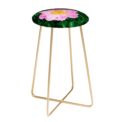 Chelsea Victoria The Peony In The Garden Counter Stool