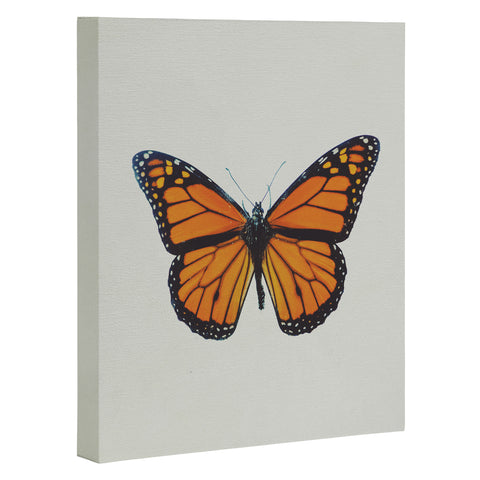 Chelsea Victoria The Queen Butterfly Art Canvas