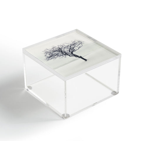 Chelsea Victoria The Scientist Acrylic Box