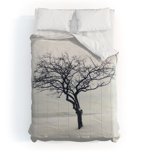 Chelsea Victoria The Scientist Comforter