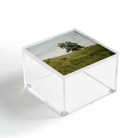 Chelsea Victoria The Tree On The Hill Acrylic Box