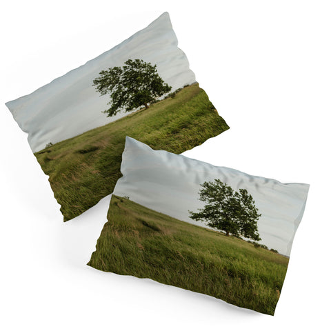 Chelsea Victoria The Tree On The Hill Pillow Shams