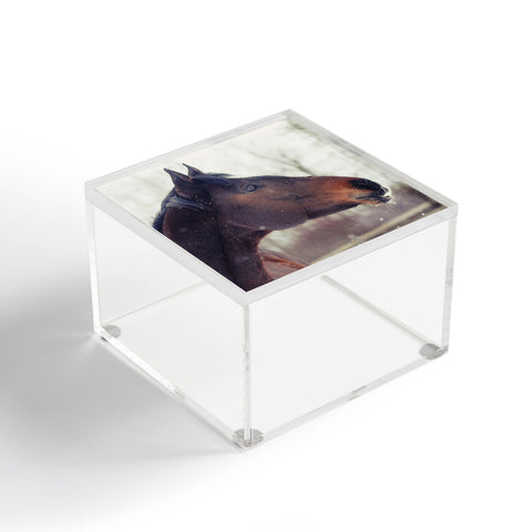 Chelsea Victoria The Watchmen Acrylic Box
