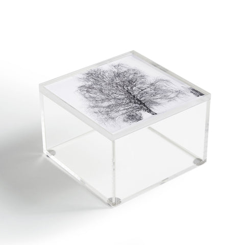 Chelsea Victoria The Willow and The Snow Acrylic Box