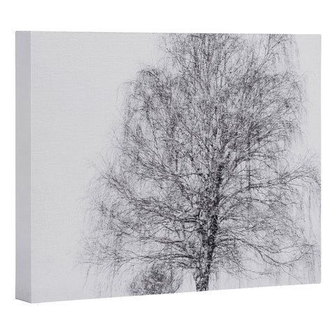 Chelsea Victoria The Willow and The Snow Art Canvas