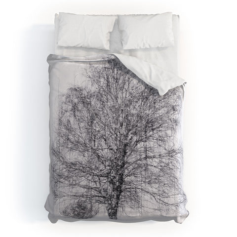 Chelsea Victoria The Willow and The Snow Comforter