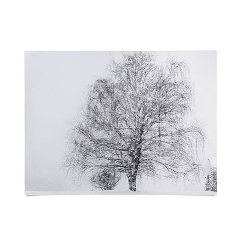 Chelsea Victoria The Willow and The Snow Poster