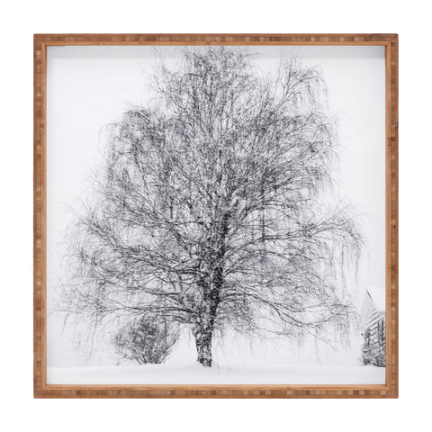 Chelsea Victoria The Willow and The Snow Square Tray