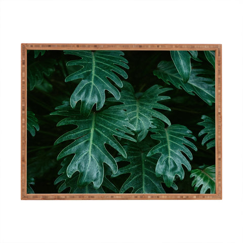 Chelsea Victoria Tropical Paradise Vibes Rectangular Tray