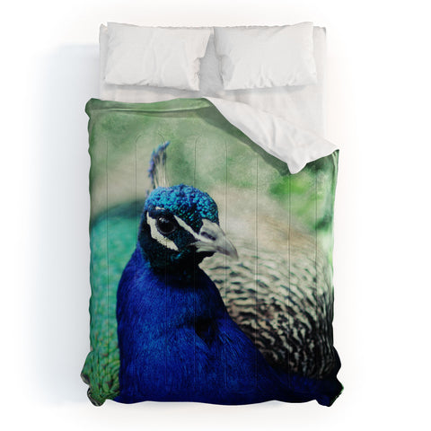 Chelsea Victoria Turquesa Comforter