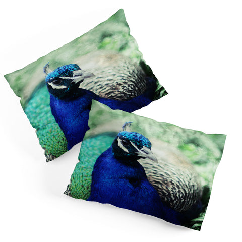 Chelsea Victoria Turquesa Pillow Shams