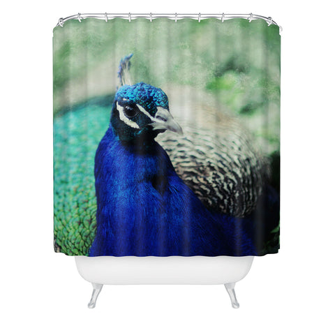 Chelsea Victoria Turquesa Shower Curtain