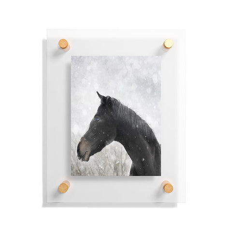 Chelsea Victoria Winter Horse Floating Acrylic Print