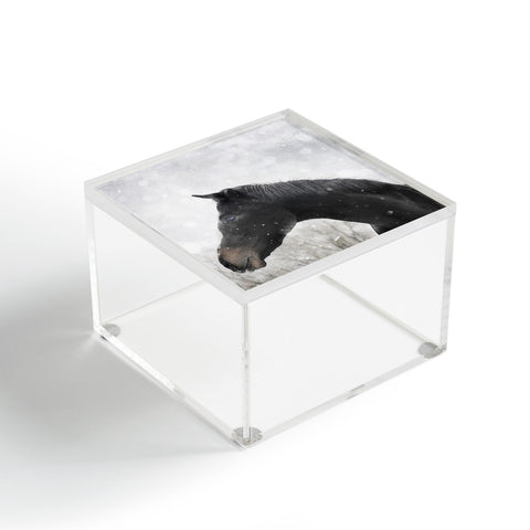 Chelsea Victoria Winter Horse Acrylic Box
