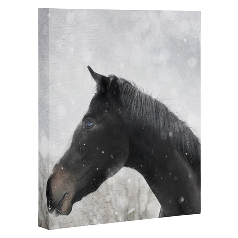 Chelsea Victoria Winter Horse Art Canvas