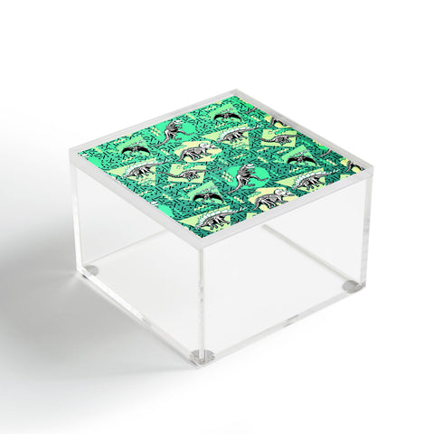Chobopop Nineties Dinosaur Skeleton Pattern Acrylic Box