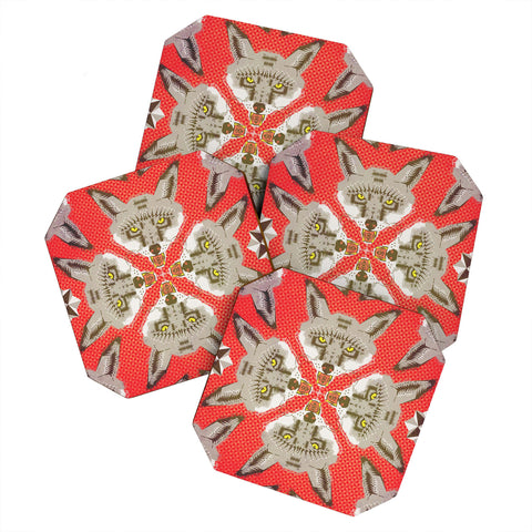 Chobopop Silver Fox Pattern Coaster Set