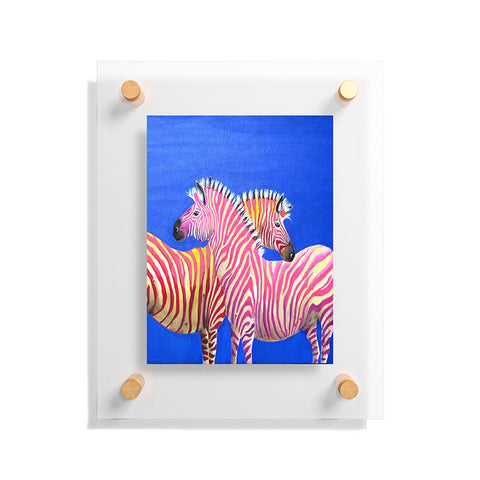Clara Nilles Diva Zebras On Royal Sapphire Floating Acrylic Print