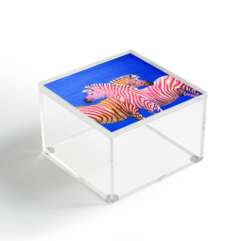 Clara Nilles Diva Zebras On Royal Sapphire Acrylic Box