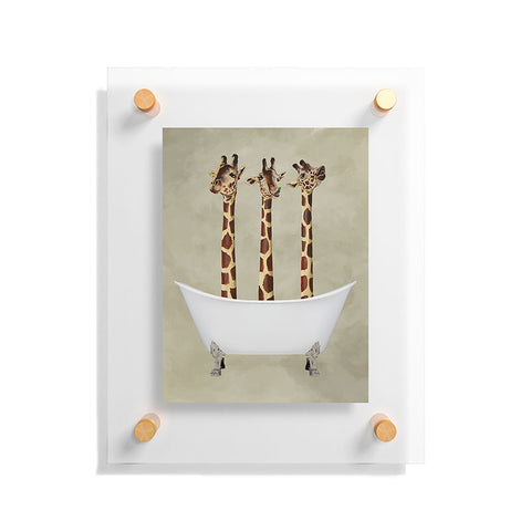 Coco de Paris 3 giraffes in bathtub Floating Acrylic Print