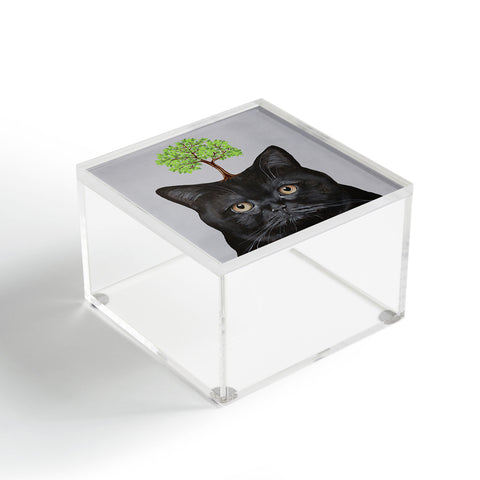 Coco de Paris A black cat with a tree Acrylic Box
