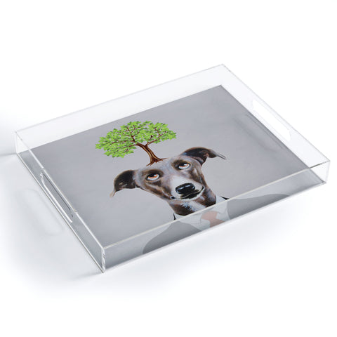 Coco de Paris A greyhound with a tree Acrylic Tray