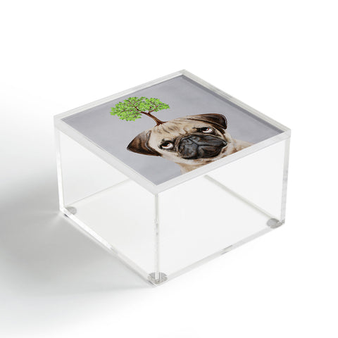 Coco de Paris A pug with a tree Acrylic Box