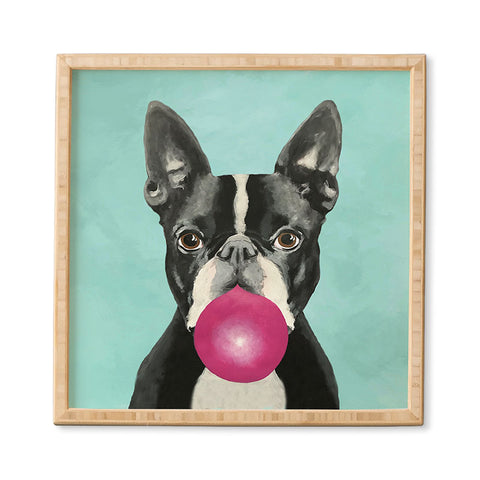 Coco de Paris Boston Terrier blowing bubblegum Framed Wall Art