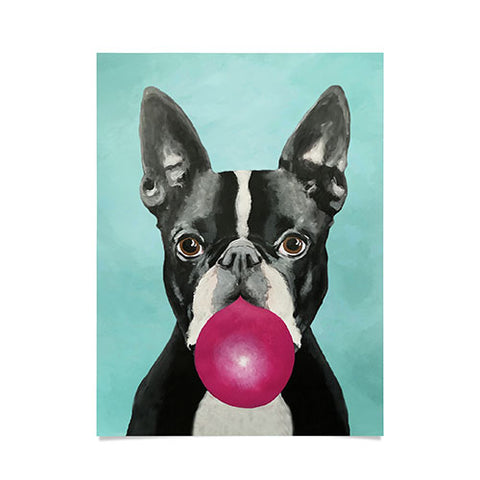 Coco de Paris Boston Terrier blowing bubblegum Poster
