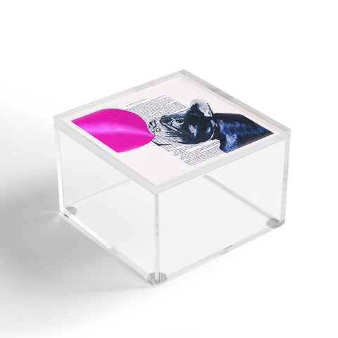 Coco de Paris Bulldog With Bubblegum 02 Acrylic Box