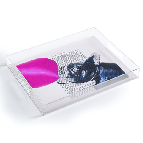 Coco de Paris Bulldog With Bubblegum 02 Acrylic Tray