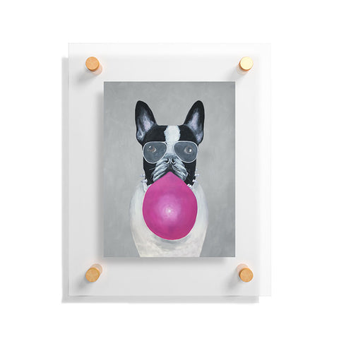 Coco de Paris Bulldog with bubblegum Floating Acrylic Print