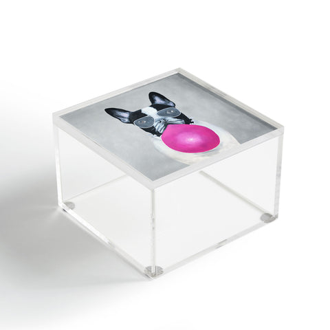 Coco de Paris Bulldog with bubblegum Acrylic Box