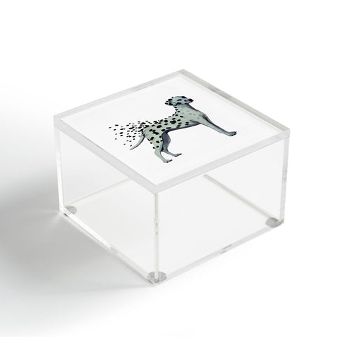 Coco de Paris Dalmatian in the storm Acrylic Box