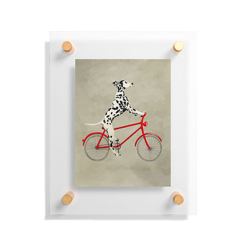 Coco de Paris Dalmatian on bicycle Floating Acrylic Print