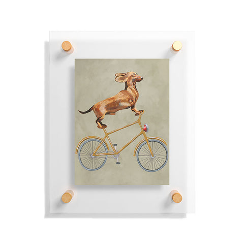 Coco de Paris Daschund on bicycle Floating Acrylic Print