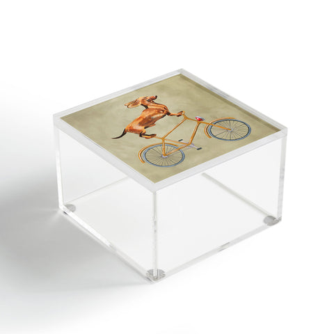 Coco de Paris Daschund on bicycle Acrylic Box