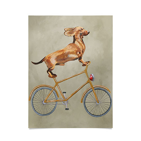Coco de Paris Daschund on bicycle Poster