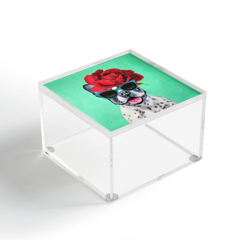 Coco de Paris Flower Power French Bulldog turquoise Acrylic Box