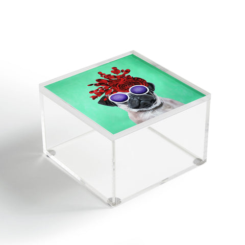 Coco de Paris Flower Power Pug turquoise Acrylic Box