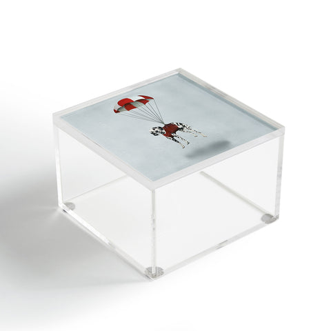 Coco de Paris Flying Dalmatian Acrylic Box
