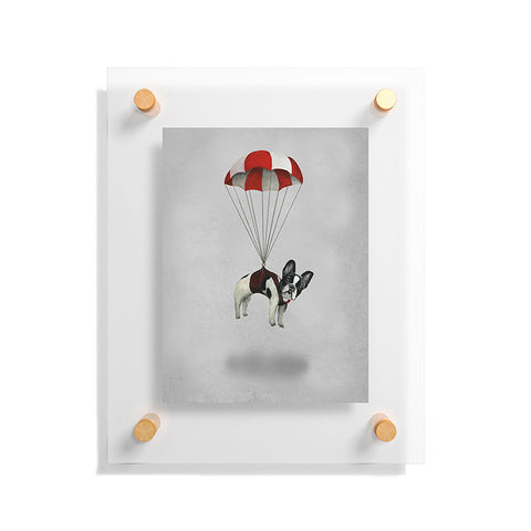 Coco de Paris Flying Frenchie Floating Acrylic Print