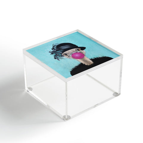 Coco de Paris Ostrich with bubblegum Acrylic Box