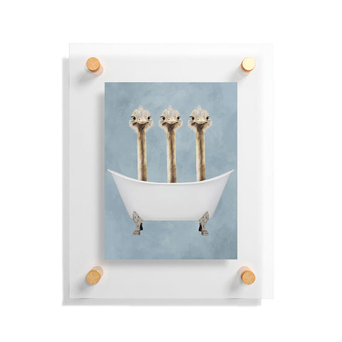 Coco de Paris Ostriches in bathtub Floating Acrylic Print