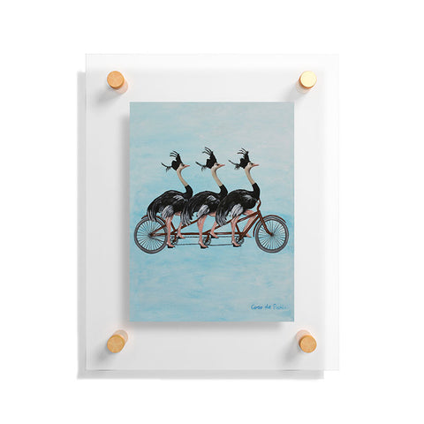Coco de Paris Ostriches on bicycle Floating Acrylic Print